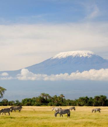 africa-travel-safari-kilimanjaro-national-park
