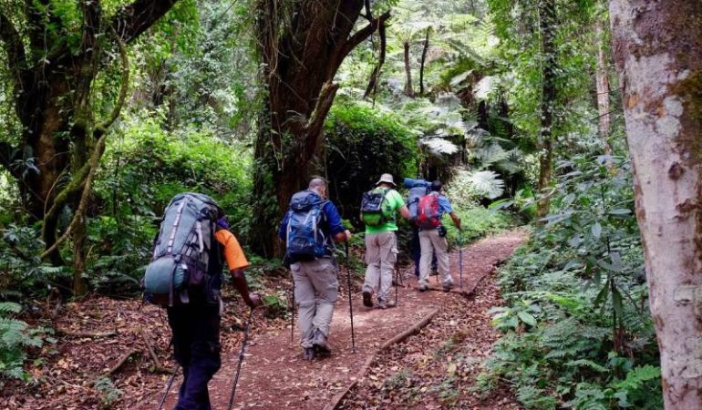 7 Days Lemosho Route