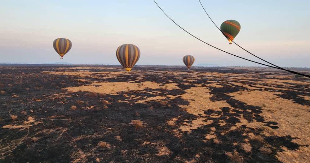 eselengei-safari-adventure-serengeti-ballons-m