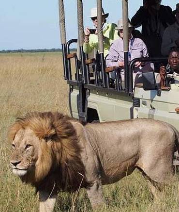 guide-2-2-mikumi-national-park