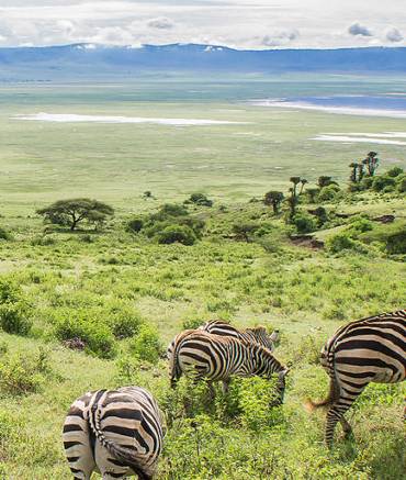 guide-2-2-ngorongoro