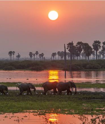 guide-2-2-nyerere-national-park